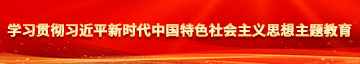 用茄子戳逼学习贯彻习近平新时代中国特色社会主义思想主题教育